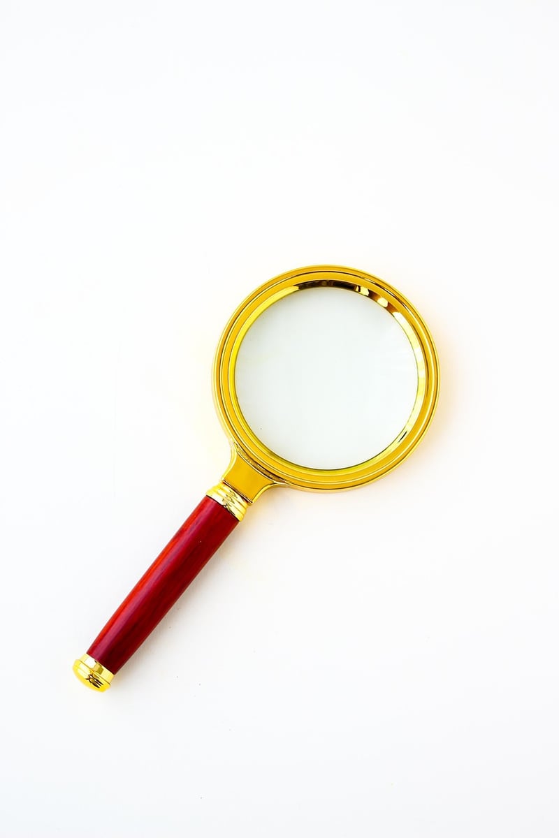 Magnifying Glass Truth Search